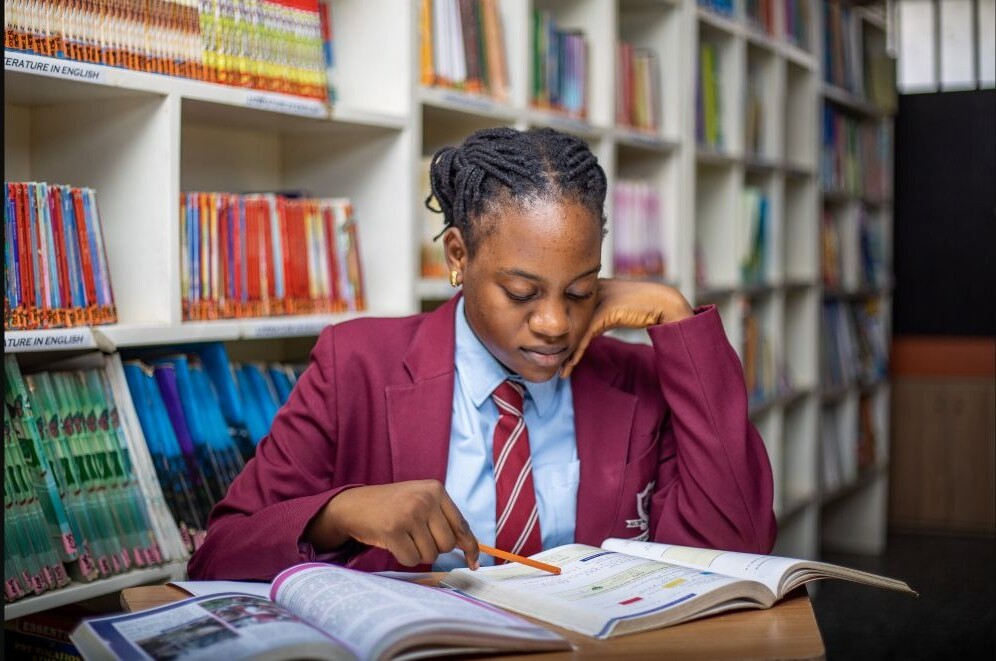 A pupil concentrating in the library